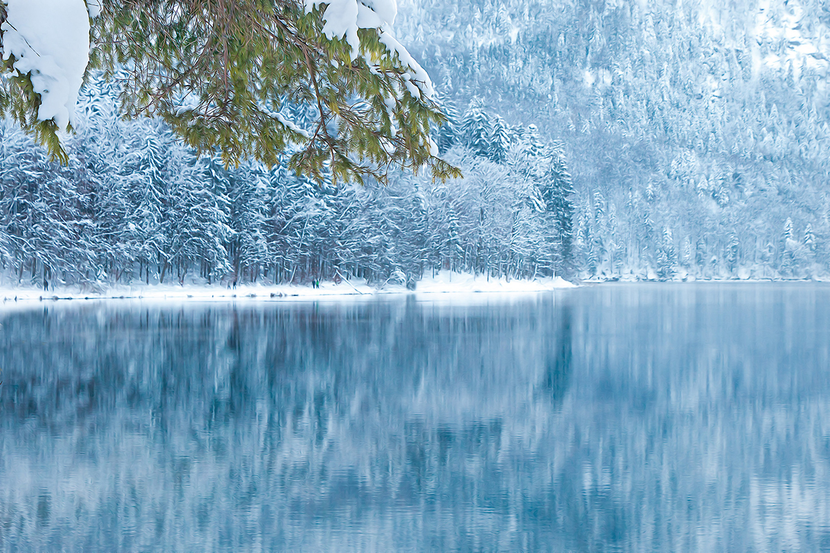 Frozen lake surrounded by snowy mountains and pine trees